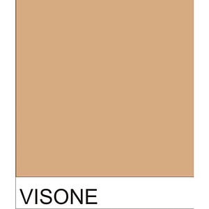 VISONE