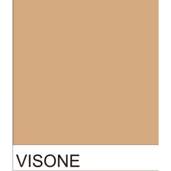 VISONE